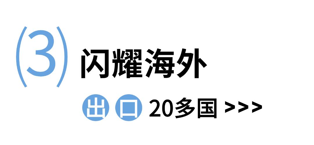 力地液压陶瓷活塞杆液压启闭机_加蓬金克莱水电站液压启闭机_水电站大型闸门、启闭机重型铆焊加工