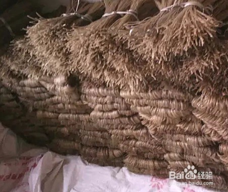 红薯粉条制作步骤及红薯粉烘干机的选择
